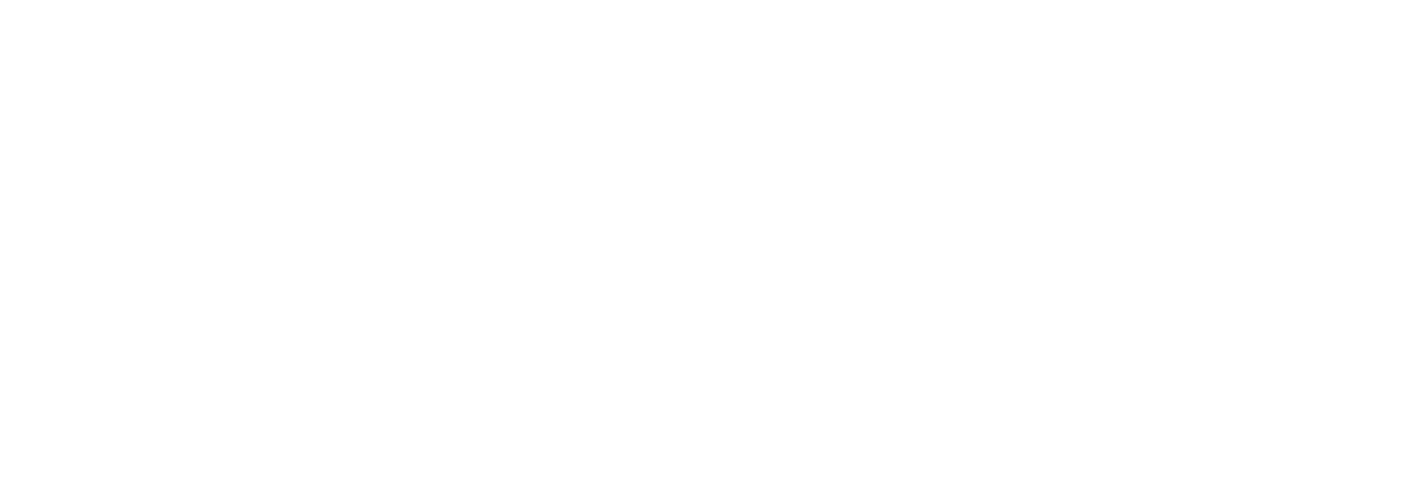 Congo Initiative logo